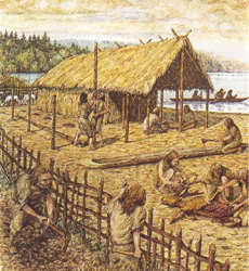 Habitat au Néolithique